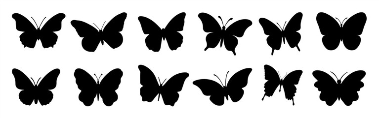 Flying butterflies silhouette black set isolated on white background. Flying butterflies set.