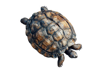 Obraz premium A photo of a turtle with a transparent background