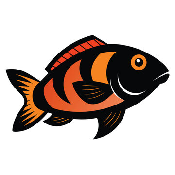 recommend clip art: Solid color Cichlid animal vector design