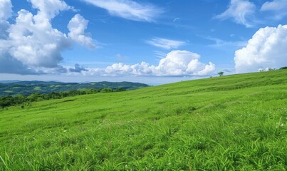 Serene Landscape: Lush Green Grass on Slope with Clear Blue Sky and Fluffy Clouds Background