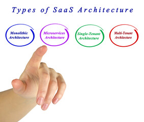 Four Types of SaaS Architecture