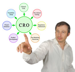 Functions of Contract research organization