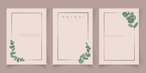 Botanical eucalyptus frame set. Hand drawn round, rectangle, hexagon line border, leaves and flowers for wedding invitation and cards, logo design, social media and posters template. Elegant minimal.