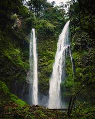 waterfall in the jungle of indonesia