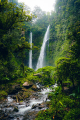 Fototapeta premium waterfall in the jungle of indonesia