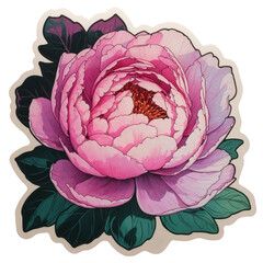 Obraz premium Pink peony flower isolated