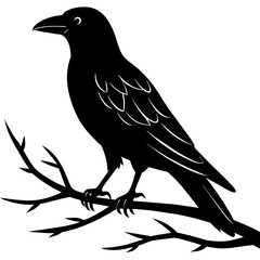 Crow sitting on a branch vector silhouette illustration.