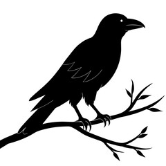 Crow sitting on a branch vector silhouette illustration.