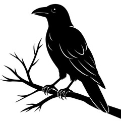 Fototapeta premium Crow sitting on a branch vector silhouette illustration.