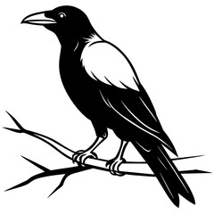 Crow sitting on a branch vector silhouette illustration.
