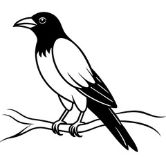 Crow sitting on a branch vector silhouette illustration.