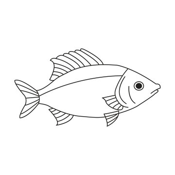 recommend clip art: Fish line art vector sketch art drawing illustration