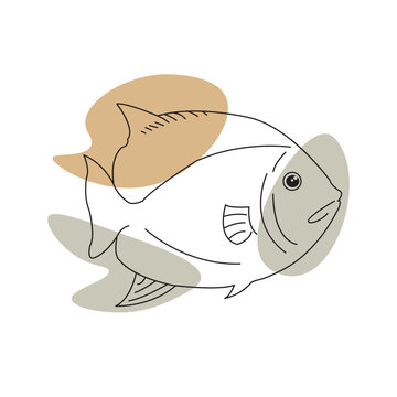 recommend clip art: Fish line art vector drawing