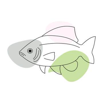 recommend clip art: Fish line art vector drawing