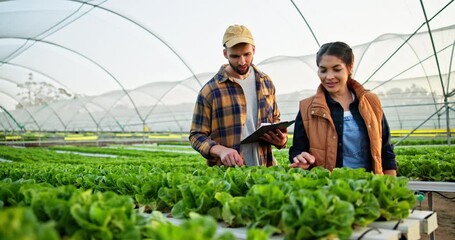 Farmers, plants and checklist in greenhouse for agriculture, sustainable or organic farming and inspection for quality control. People, man and woman with clipboard or discussion for agro development