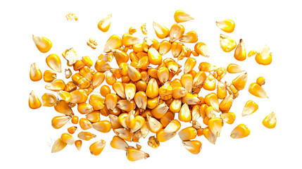 Corn kernels, isolated