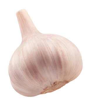 Fragrant garlic isolated on transparent background.