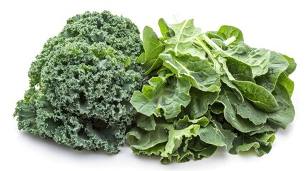Kale and spinach displayed against a white backdrop