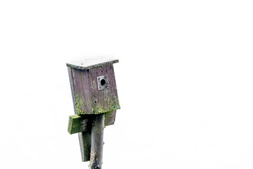 An old wooden birdhouse or nesting box attached to a long wooden pole. The worn and weathered grey boards have moss and a small circular hole on the front for small birds. The background is white.  