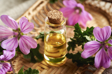 A bottle of mallow essential oil with fresh blooming malva sylvestris plant