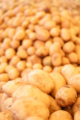 Young fresh potatoes on a bazaar counter