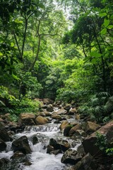 Naklejka premium Serene Forest Stream: Tranquil Nature Scenery with Flowing Water and Green Foliage, Copyspace for Text or Design Elements