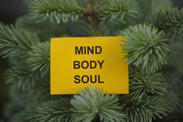 A yellow paper note with the words Mind, Body, Soul on it being held up by a fir tree branch. Close...