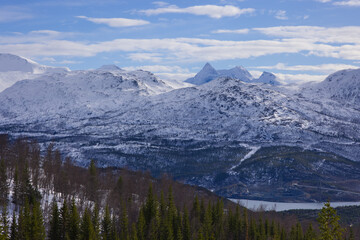 Fototapeta premium Large mountainous landscape with evergreen trees in the foreground