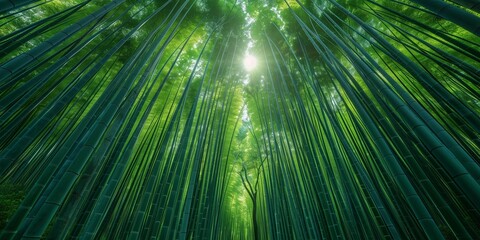 Obraz premium Zen Bamboo Serenity, generative ai