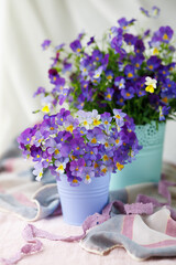 Still life with bouquets of spring and summer blue and purple flowers, violets, pansies in vases buckets on the table.