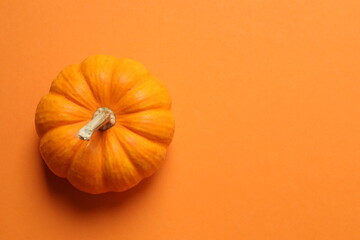 Orange pumpkin on color background, holiday decoration