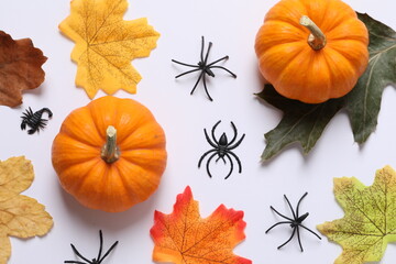 Orange pumpkin on white background, holiday decoration