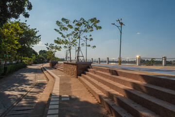 A walkway with a tree and a bench
