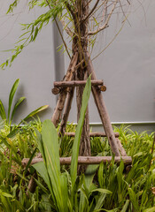 A tree with a wooden frame is growing in a garden