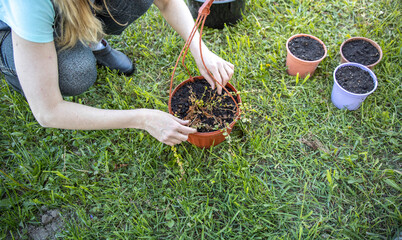 A woman kneels gracefully in the lush green grass, tenderly holding a potted plant in her hands.