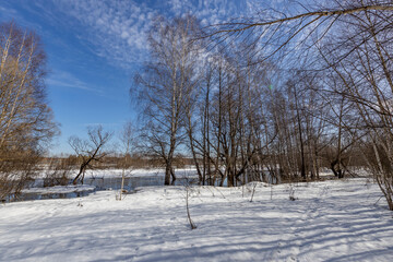 A serene winter scene with snow-covered ground and bare birch trees under a blue sky with clouds. The sunlight casts shadows on the snow, and there's a river with ice on the far side.
