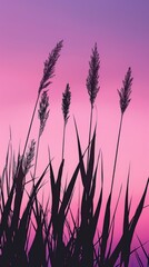 Silhouettes of grass against a purple and pink sunset