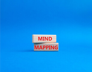 Mind Mapping symbol. Concept word Mind Mapping on wooden blocks. Beautiful blue background....