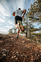 a man jogging on a path through a forest with some trees