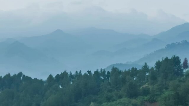 Captivating green landscapes, perfect for dynamic and calming nature backgrounds.