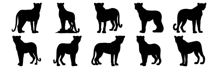 Leopard silhouettes set, pack of vector silhouette design, isolated background