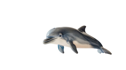 Baby dolphin © Don Media