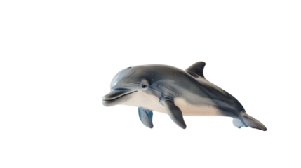 Baby dolphin