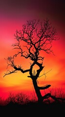 Silhouette of a bare tree against a vibrant sunset