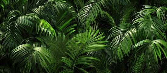 palm trees in an exotic tropical forest