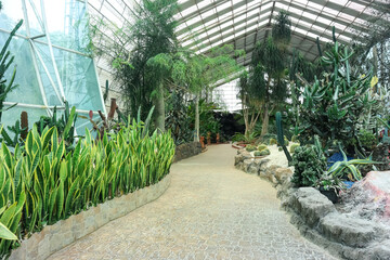 Garden landscape with pathway and tropical plants around