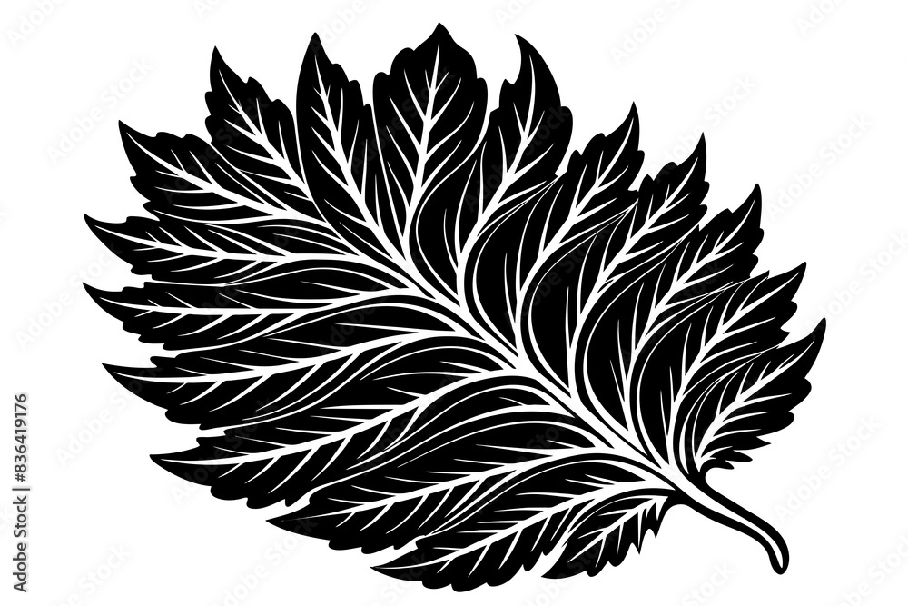 Wall mural Betel Leaf Black And White