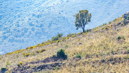 Mountain view in France