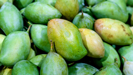 Bunch of indian thottapuri mango
