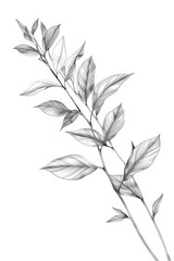 Simple illustration of a plant in monochrome colors